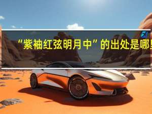 “紫袖红弦明月中”的出处是哪里