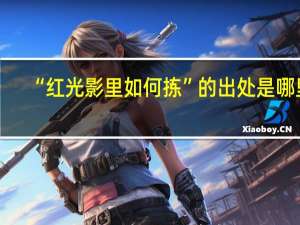 “红光影里如何拣”的出处是哪里