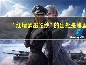 “红墙醉墨笼纱”的出处是哪里