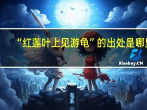 “红莲叶上见游龟”的出处是哪里