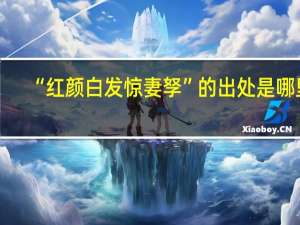 “红颜白发惊妻孥”的出处是哪里