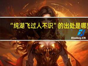 “纯湖飞过人不识”的出处是哪里