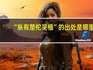 “纵有楚柁吴樯”的出处是哪里