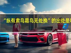 “纵有肃鸟霜鸟无处换”的出处是哪里