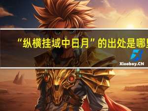 “纵横挂域中日月”的出处是哪里