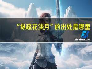 “纵疏花淡月”的出处是哪里