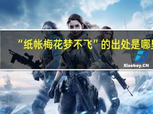“纸帐梅花梦不飞”的出处是哪里