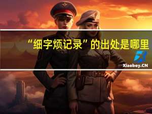 “细字烦记录”的出处是哪里