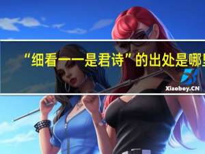 “细看一一是君诗”的出处是哪里
