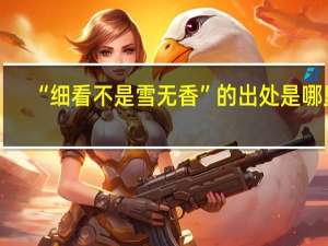 “细看不是雪无香”的出处是哪里
