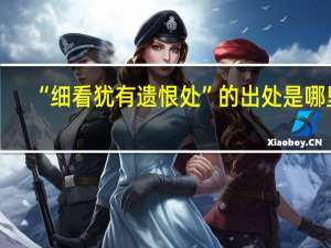 “细看犹有遗恨处”的出处是哪里