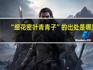 “细花密叶青青子”的出处是哪里