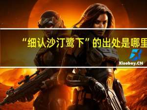 “细认沙汀鹭下”的出处是哪里