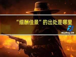 “细酬佳景”的出处是哪里