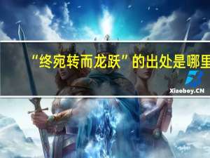 “终宛转而龙跃”的出处是哪里