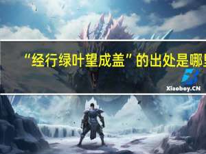 “经行绿叶望成盖”的出处是哪里