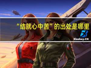 “结就心中苦”的出处是哪里