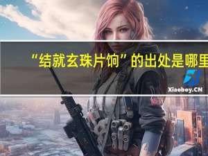 “结就玄珠片饷”的出处是哪里