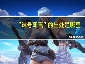 “维号斯言”的出处是哪里