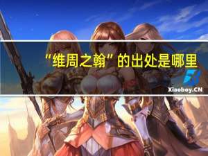 “维周之翰”的出处是哪里