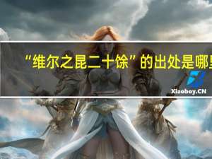 “维尔之昆二十馀”的出处是哪里