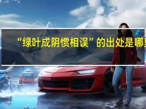 “绿叶成阴惯相误”的出处是哪里