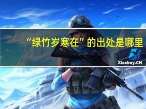 “绿竹岁寒在”的出处是哪里