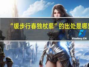 “缓步行春独杖藜”的出处是哪里