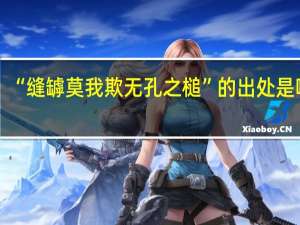 “缝罅莫我欺无孔之槌”的出处是哪里