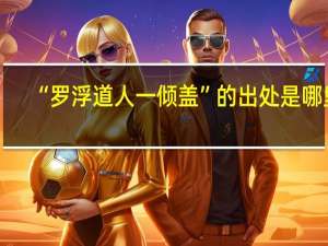 “罗浮道人一倾盖”的出处是哪里
