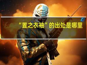“置之衣袖”的出处是哪里