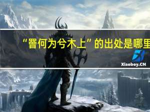 “罾何为兮木上”的出处是哪里