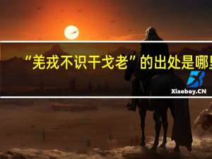 “羌戎不识干戈老”的出处是哪里