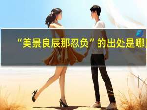 “美景良辰那忍负”的出处是哪里