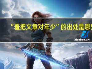 “羞把文章对年少”的出处是哪里