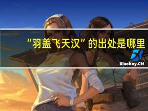 “羽盖飞天汉”的出处是哪里