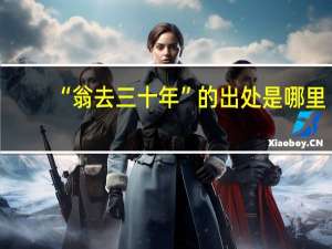 “翁去三十年”的出处是哪里