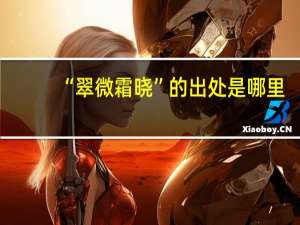 “翠微霜晓”的出处是哪里