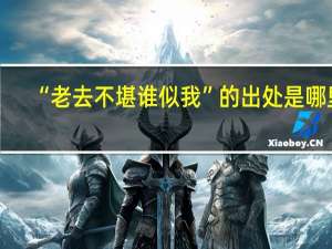 “老去不堪谁似我”的出处是哪里
