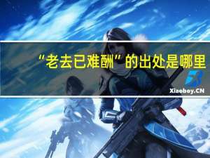 “老去已难酬”的出处是哪里