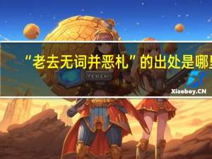 “老去无词并恶札”的出处是哪里