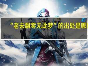 “老去飘零无此梦”的出处是哪里