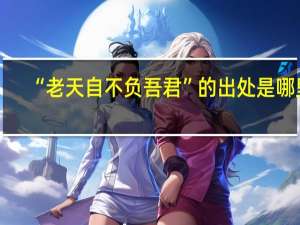 “老天自不负吾君”的出处是哪里