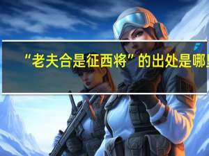 “老夫合是征西将”的出处是哪里