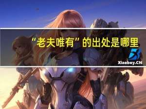 “老夫唯有”的出处是哪里