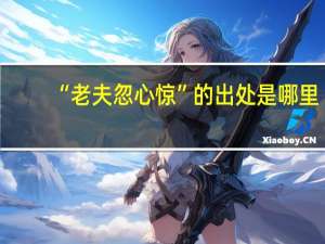 “老夫忽心惊”的出处是哪里