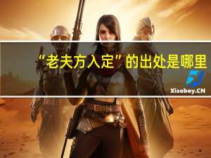 “老夫方入定”的出处是哪里