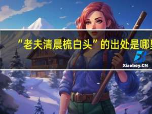 “老夫清晨梳白头”的出处是哪里