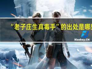 “老子庄生真毒手”的出处是哪里