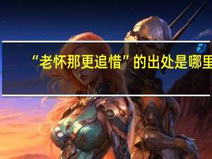 “老怀那更追惜”的出处是哪里